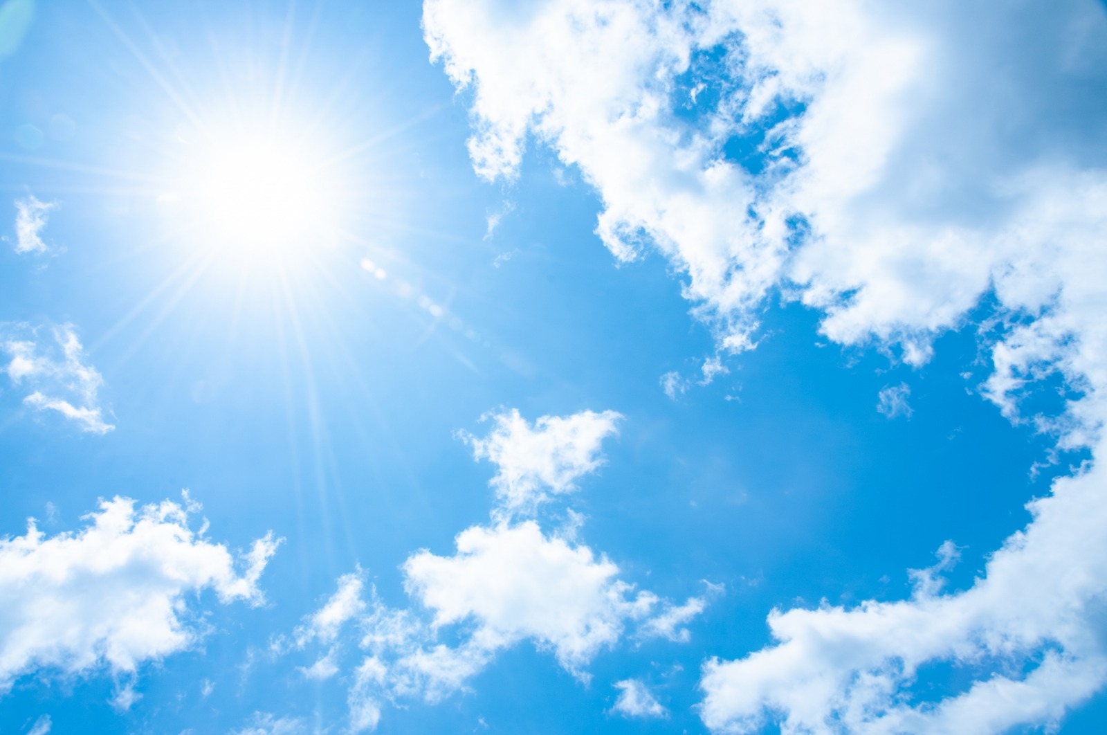 夏の太陽.jpg